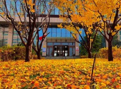 ​兰州3+2学校浅析上技校学什么技术比较实用？